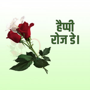 Image of red and white roses with 'Happy Rose Day' text in Hindi