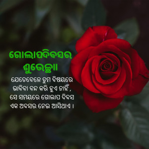 Close-up of a vibrant red rose with Oriya script overlay