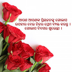 Close-up of vibrant red roses with Oriya script in the background