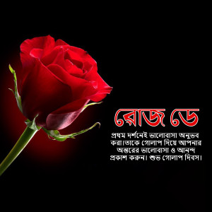 Close-up of a vibrant red rose with Bengali script in the background