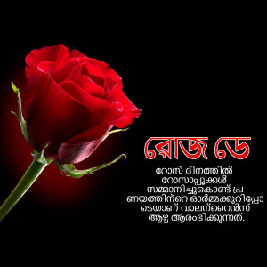 Close-up of a vibrant red rose with Malayalam script in the background