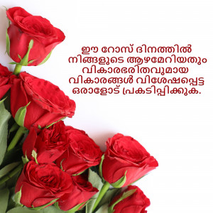 Close-up of vibrant red roses with Malayalam script overlay