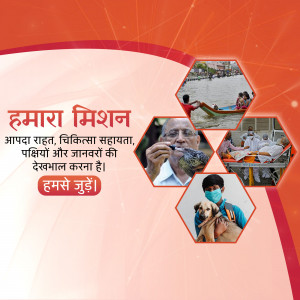 Image depicting disaster relief efforts and animal care with text in Hindi.