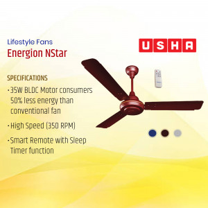 Usha Energion NStar BLDC ceiling fan with remote control