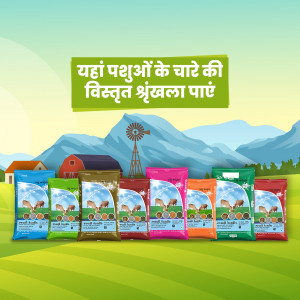 Variety of animal feed packages with a farm background