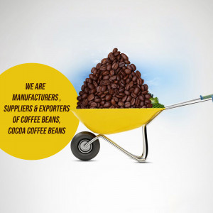 Wheelbarrow filled with coffee beans with text 'We are Manufacturers, Suppliers & Exporters of Coffee Beans, Cocoa Coffee Beans'