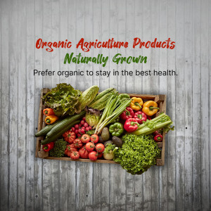 A wooden crate overflowing with fresh, organic vegetables and fruits against a textured grey background.