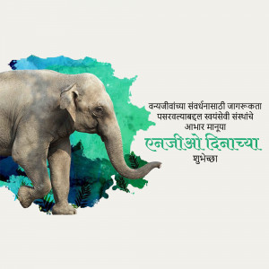 An elephant walking towards the viewer with a green and blue background and text in Marathi.
