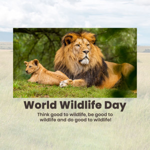A majestic male lion lying next to a cub on a grassy plain, with text celebrating World Wildlife Day.