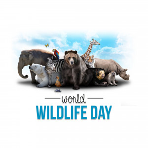 A collage of various wild animals celebrating World Wildlife Day.