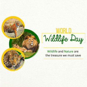 World Wildlife Day poster featuring a tiger, lion, and leopard.