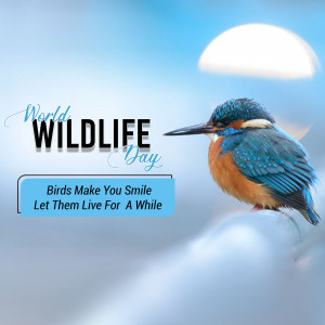 A vibrant image celebrating World Wildlife Day featuring a Kingfisher perched on a branch.