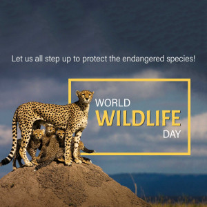 A cheetah mother with her cubs on a hill with a World Wildlife Day banner.