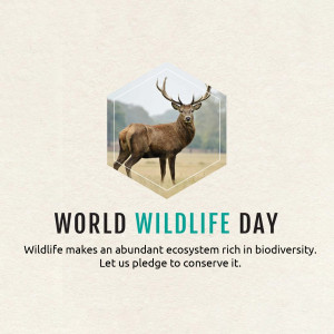 Image of a deer inside a hexagon with the text 'World Wildlife Day'