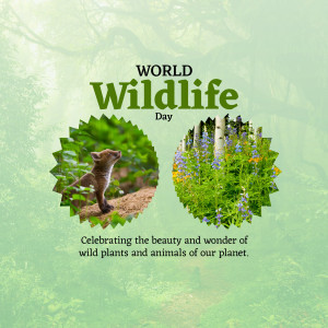 World Wildlife Day graphic with fox and wildflowers