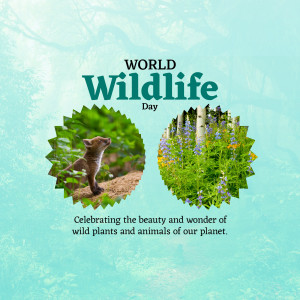 World Wildlife Day graphic featuring a fox and wildflowers