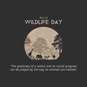 World Wildlife Day graphic with animals in a silhouette