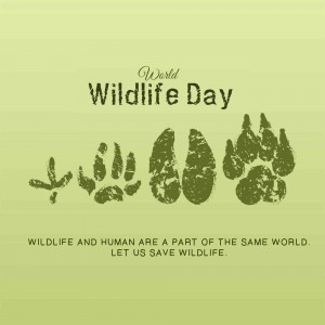 World Wildlife Day graphic with animal paw prints