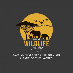Illustration of elephants and birds silhouetted against a golden sun for World Wildlife Day.