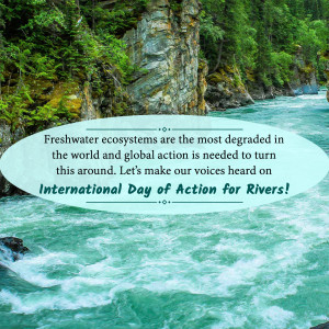 A scenic view of a river with text overlay promoting International Day of Action for Rivers.