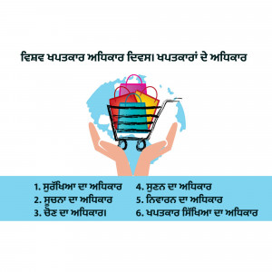 Image depicting hands holding a shopping cart filled with shopping bags over a globe, with text in Punjabi.