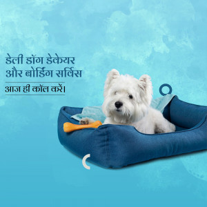 A cute West Highland White Terrier puppy relaxing in a blue pet bed with a bone toy.