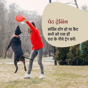 Woman throwing a frisbee to a jumping black dog in a park.
