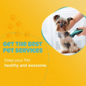 A small dog getting groomed by a professional groomer.