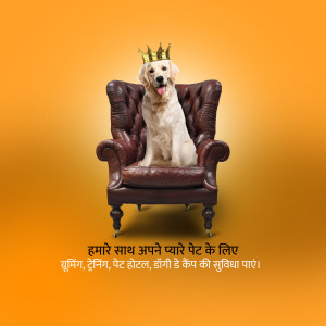Golden Retriever dog wearing a crown sitting on a leather chair