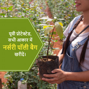 Woman holding a plant in a nursery poly bag with text in Hindi
