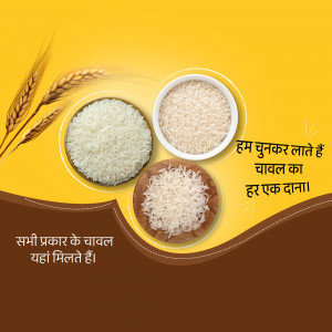 Image of different types of rice grains in bowls with wheat stalks