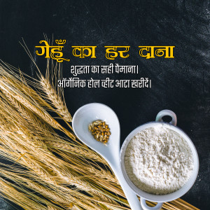 Image of wheat grains, wheat flour, and a spoon with wheat seeds, with text in Hindi.