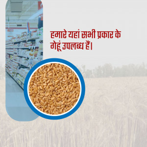 Image of wheat grains with a store background and text in Hindi about wheat availability.