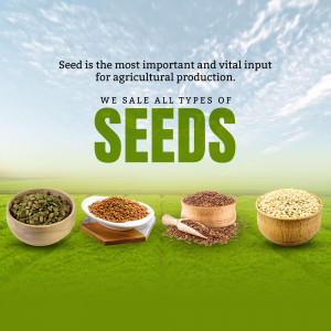 Various types of seeds displayed in bowls on a green field