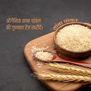 Close-up of organic samba rice in a wooden bowl with wheat stalks