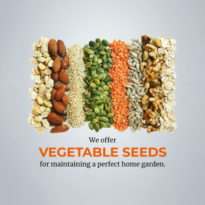 Assortment of vegetable seeds including peanuts, almonds, lentils, and sunflower seeds.