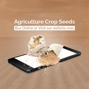 Image of crop seeds spilling from a sack onto a smartphone, promoting online purchase.