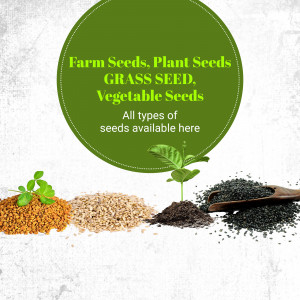 Assortment of farm seeds, plant seeds, grass seed, and vegetable seeds.