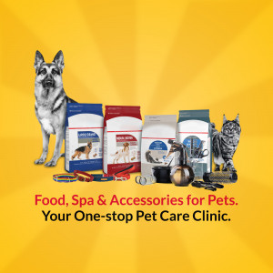 Image of Purina pet food bags with a dog and cat, and pet accessories.