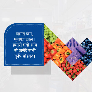 Collage of colorful fruits and vegetables with text in Hindi