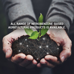 Hands holding soil with a seedling and digital network, promoting agricultural products.