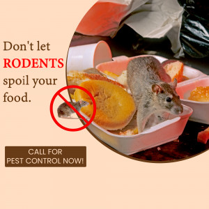 Image of a squirrel on a food tray with a warning about rodents and a call for pest control.