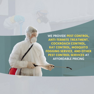 Pest control worker in protective gear spraying insecticide