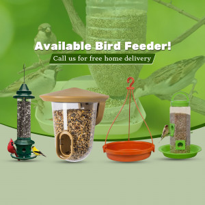 Various types of bird feeders filled with seeds, with birds perched around them.