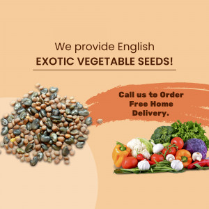 Assortment of exotic vegetable seeds and fresh produce.