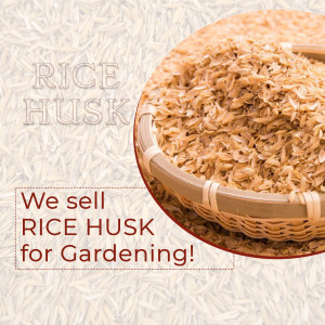 Close-up of rice husk in a woven basket with text promoting its use for gardening.