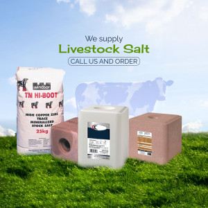 Image of livestock salt blocks and bags with a green field background.