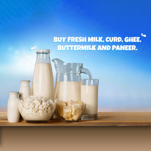 Bottles and bowls of milk, curd, paneer, and other dairy products on a wooden surface.