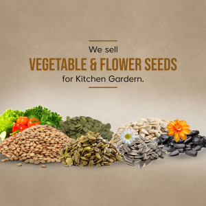 Assortment of vegetable and flower seeds with fresh produce