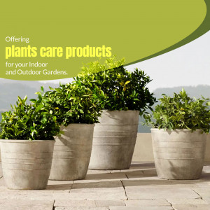 Assortment of potted plants in grey pots on a tiled patio.